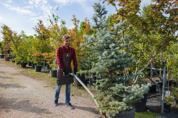 Lawn Watering Services in North Great River, NY