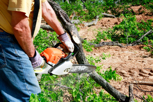 Soil Testing and Treatment in North Great River, NY